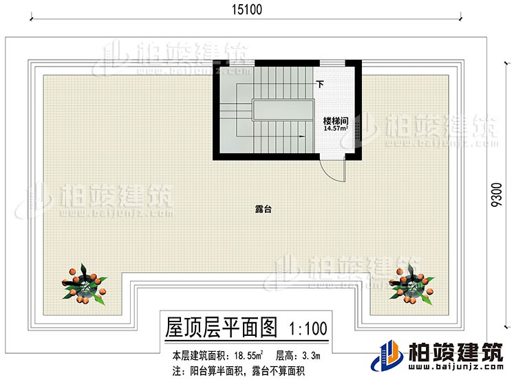 屋頂：樓梯間、露臺